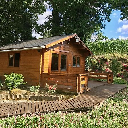Chambres D'Hotes Les Tilleuls Poullaouen Buitenkant foto